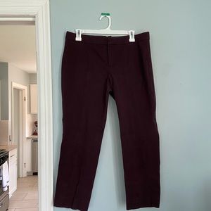 Maroon Sloan Pant